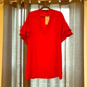 Zara frill sleeve dress